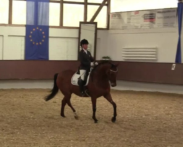 Eröffnung der grünen Saison Bottrop 2014