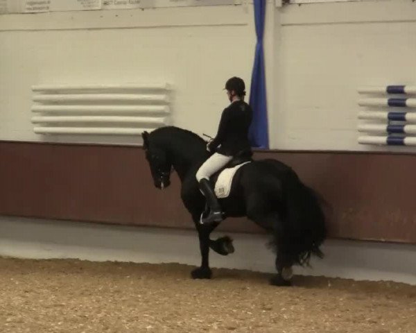 Eröffnung der grünen Saison Bottrop 2014