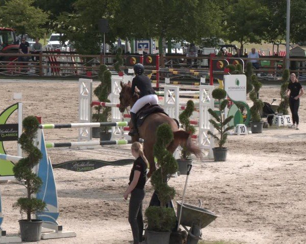 Reitturnier Kirchhellen/Stall Dieckmann 2025
