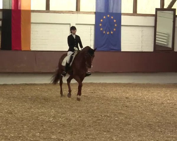 Eröffnung der grünen Saison Bottrop 2014