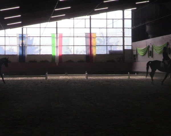 Reitturnier Hellefeld 2025