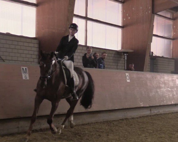 Reitturnier Hellefeld 2025
