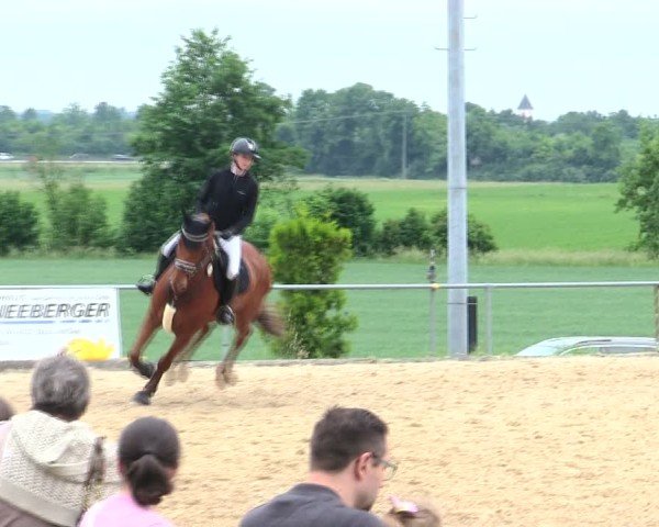 Reitturnier Münster/Ndb. 2025