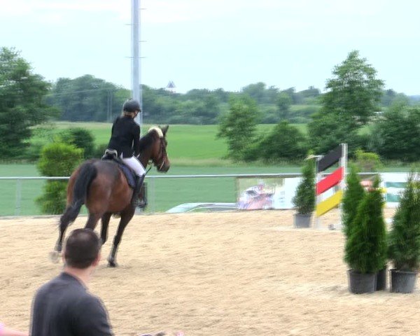 Reitturnier Münster/Ndb. 2025