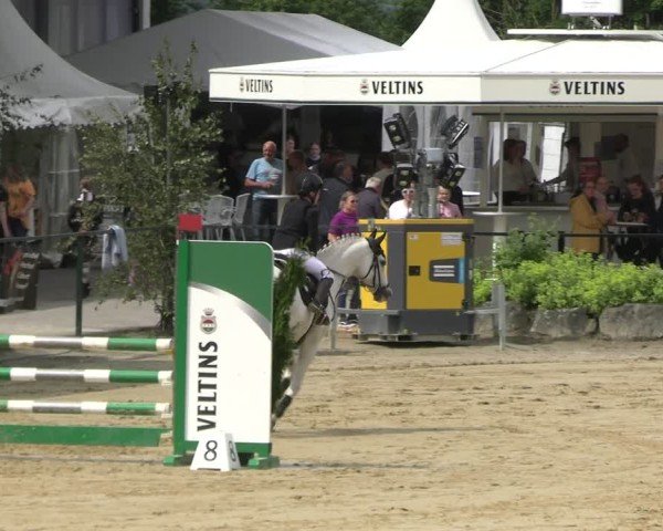 Reitturnier Hellefeld 2025