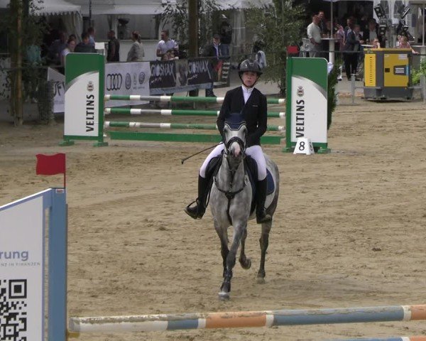 Reitturnier Hellefeld 2025