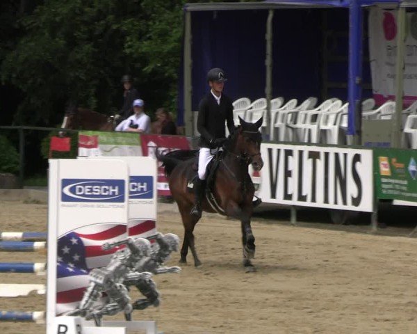 Reitturnier Hellefeld 2025