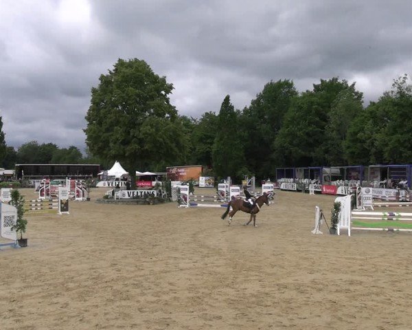 Reitturnier Hellefeld 2025