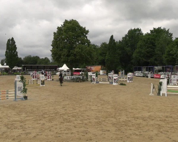 Reitturnier Hellefeld 2025