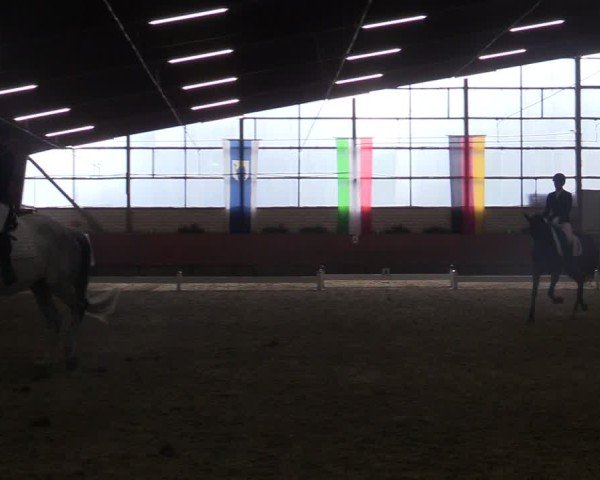 Reitturnier Hellefeld 2025
