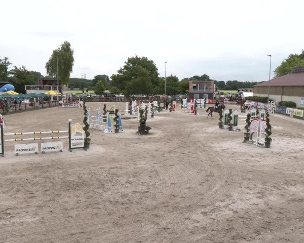 Reitturnier Kirchhellen/Stall Dieckmann 2025
