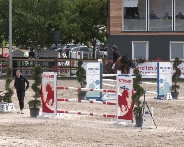 Reitturnier Kirchhellen/Stall Dieckmann 2025