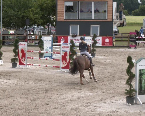 Reitturnier Kirchhellen/Stall Dieckmann 2025
