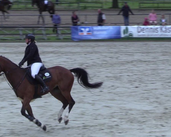 Reitturnier Hamm-Rhynern 2025