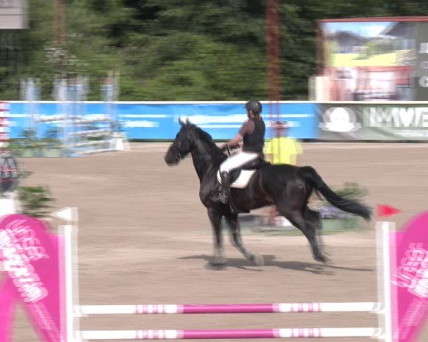 Reitturnier Lassee 2025
