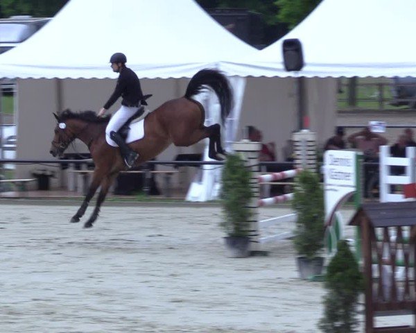 Reitturnier Hamm-Rhynern 2025