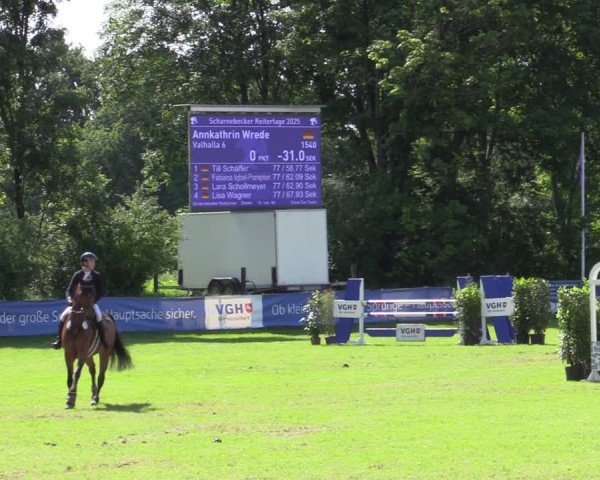 Reitturnier Scharnebeck 2025