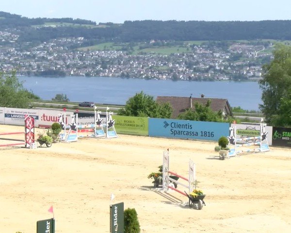 Reitturnier Wädenswil 2025