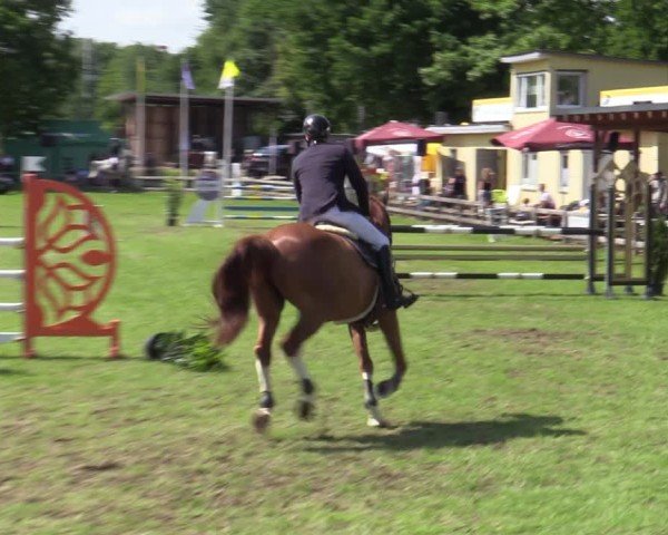 Reitturnier Scharnebeck 2025