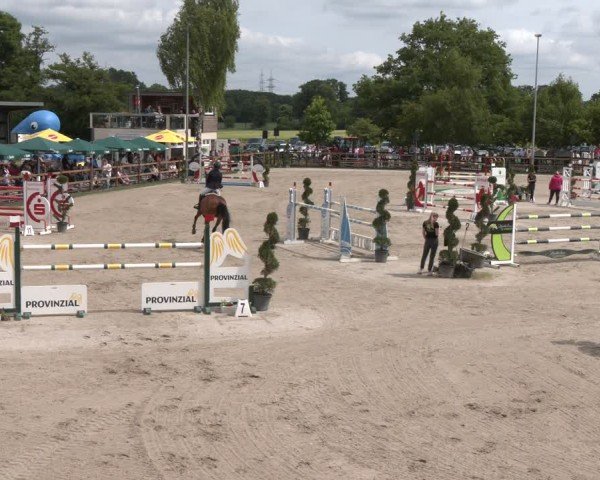 Reitturnier Kirchhellen/Stall Dieckmann 2025