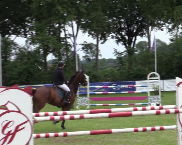 Reitturnier Scharnebeck 2025
