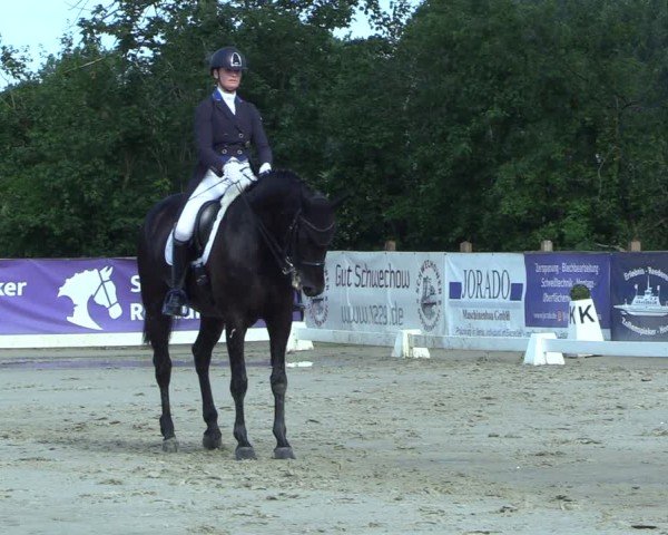 Reitturnier Scharnebeck 2025