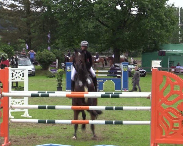 Reitturnier Scharnebeck 2025