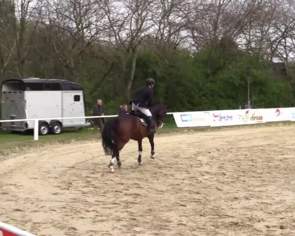 Eröffnung der grünen Saison Bottrop 2014