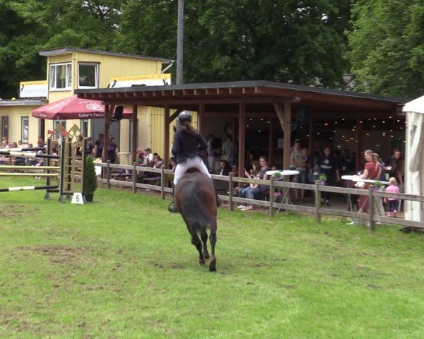 Reitturnier Scharnebeck 2025