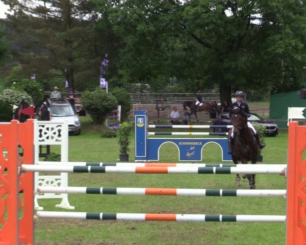 Reitturnier Scharnebeck 2025