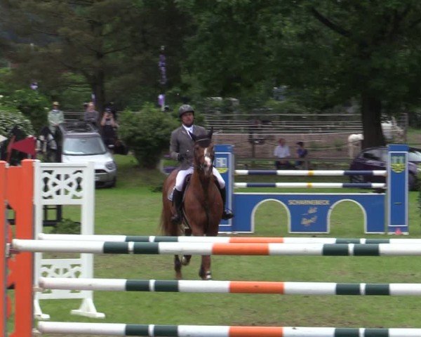 Reitturnier Scharnebeck 2025