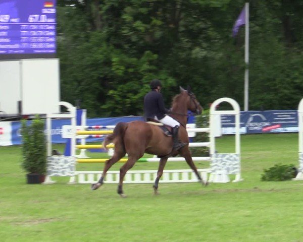 Reitturnier Scharnebeck 2025