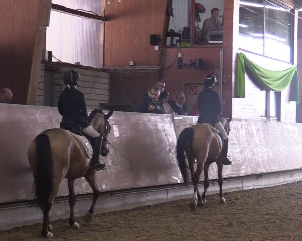 Reitturnier Hellefeld 2025