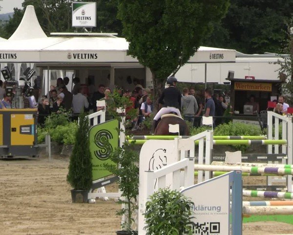 Reitturnier Hellefeld 2025