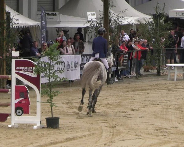 Reitturnier Hellefeld 2025