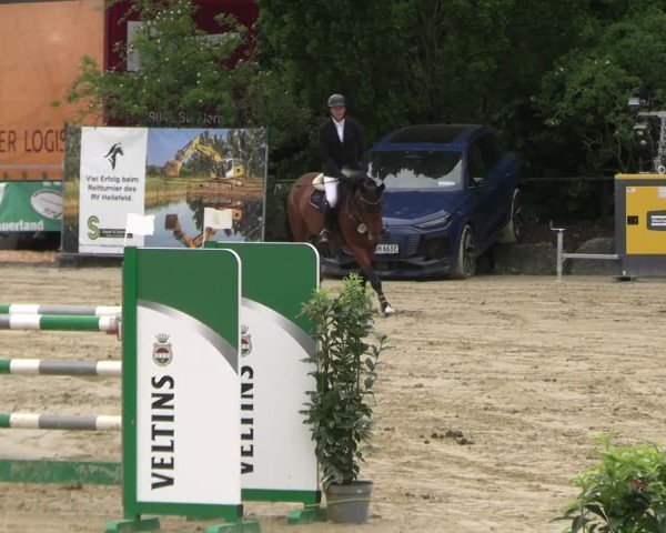 Reitturnier Hellefeld 2025