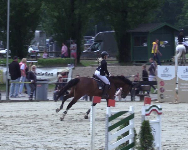 Reitturnier Hamm-Rhynern 2025