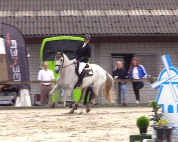 Reitturnier Kropp 2025
