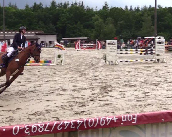Reitturnier Kropp 2025