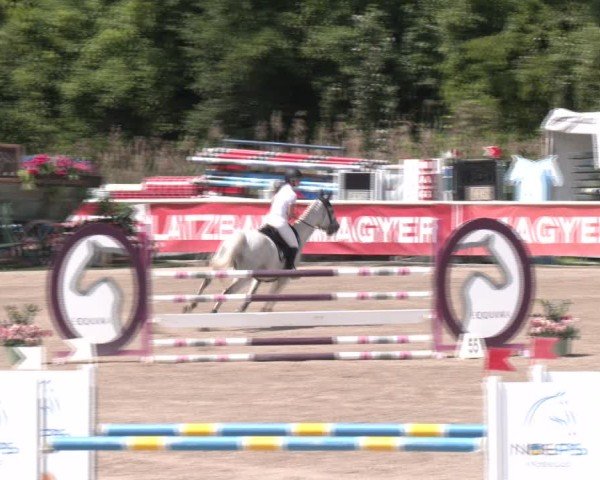 Reitturnier Lassee 2025