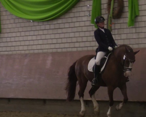 Reitturnier Hellefeld 2025
