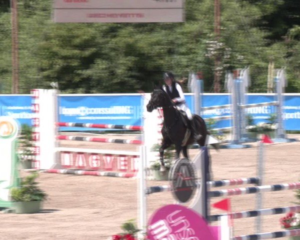 Reitturnier Lassee 2025