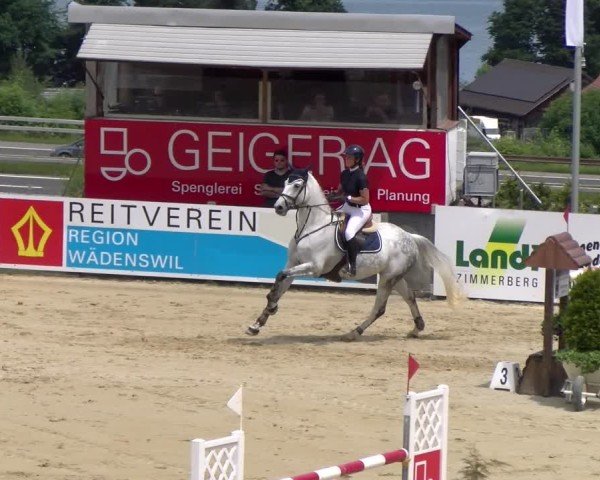Reitturnier Wädenswil 2025