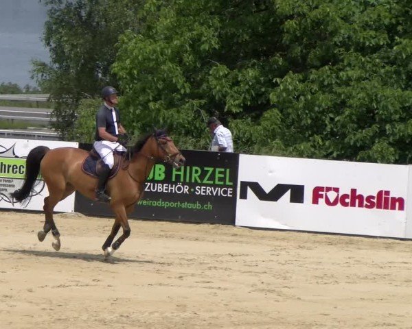 Reitturnier Wädenswil 2025