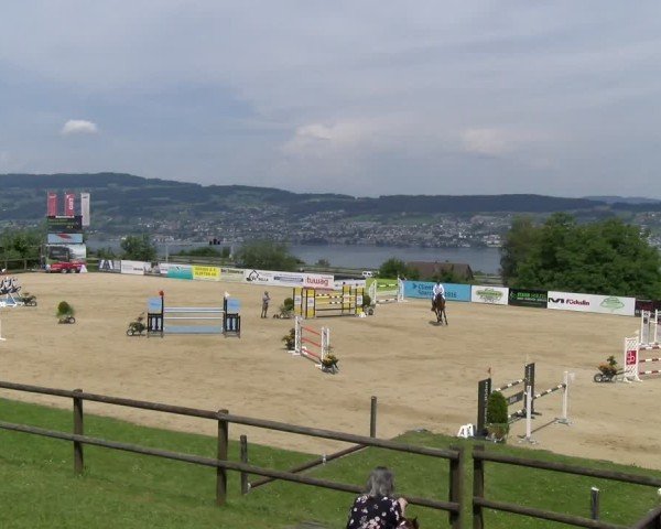 Reitturnier Wädenswil 2025