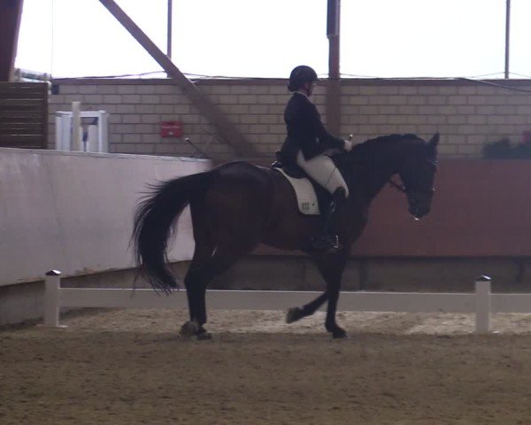 Reitturnier Hellefeld 2025