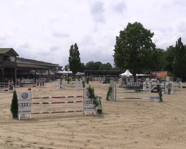 Reitturnier Hellefeld 2025
