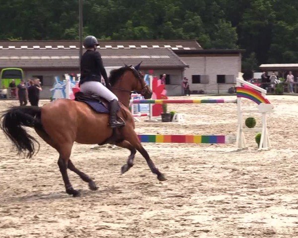 Reitturnier Kropp 2025
