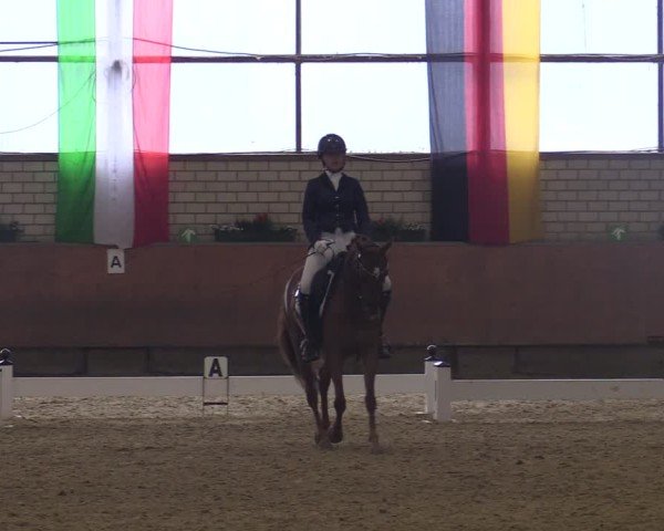 Reitturnier Hellefeld 2025