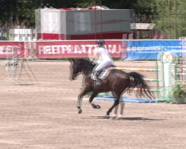 Reitturnier Lassee 2025